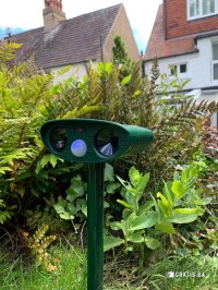 Komentar korisnika 1