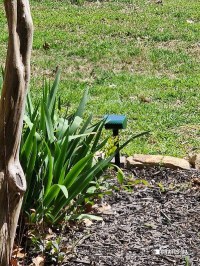 Komentar korisnika 3