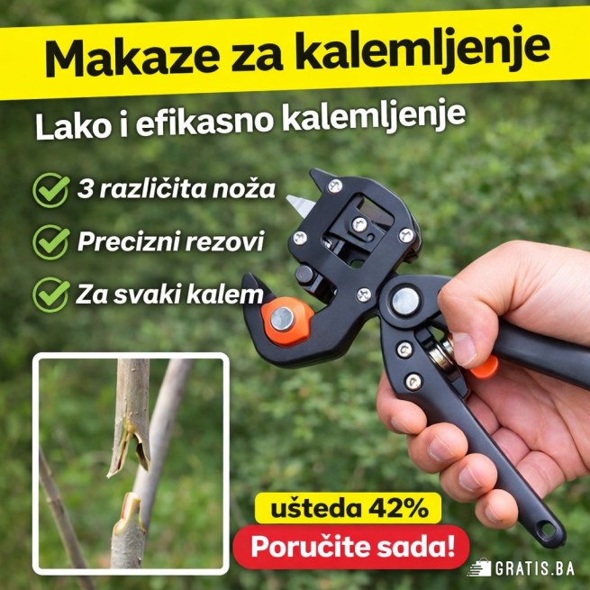 Slika 1