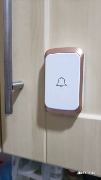 Review 5