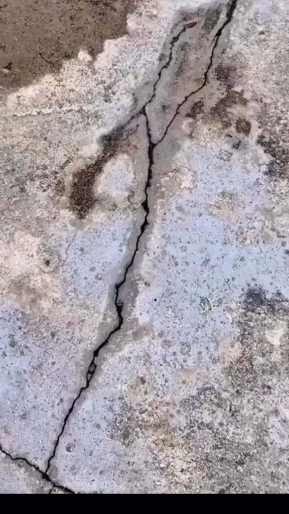 Animacija