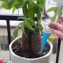 Set od 10 komada za zalijevanje biljaka | PLANTDROPS