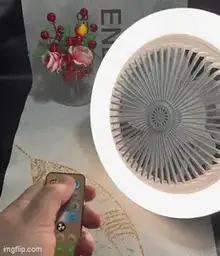 Smart Fan